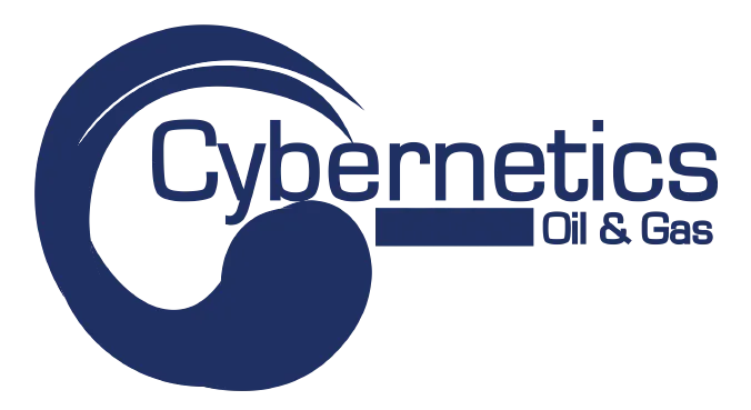 Cybernetics International Services Ltd.